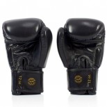 Перчатки боксерские Fairtex (BGV-19 black)